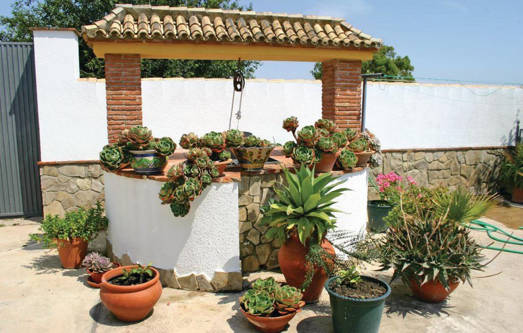 Dehesa Las Yeguas Benalup-Casas Viejas Dış mekan fotoğraf